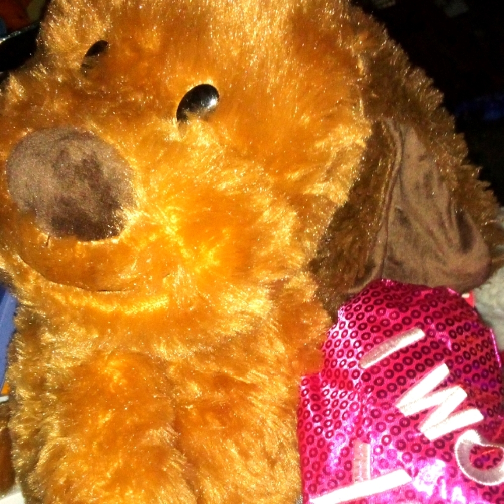 Valentine's puppy